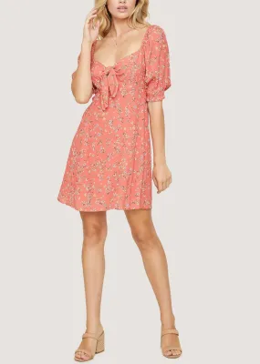 Everyday Adventures Mini Dress